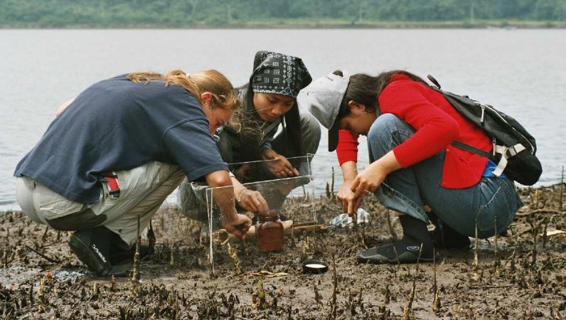 Deutsche und indonesische Wissenschaftler untersuchen eine Lagune auf Java, Indonesien.